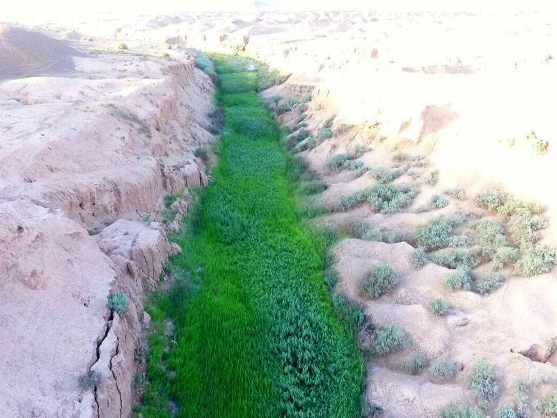 رودخانه شور بهاباد، تنها رودخانه دائمی و زیستگاه آبی منحصربهفرد استان یزد