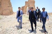 سفر مدیرکل میراث فرهنگی فارس به شهرستان سروستان