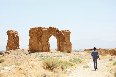 سفر مدیر کل میراث فرهنگی فارس به شهرستان سروستان