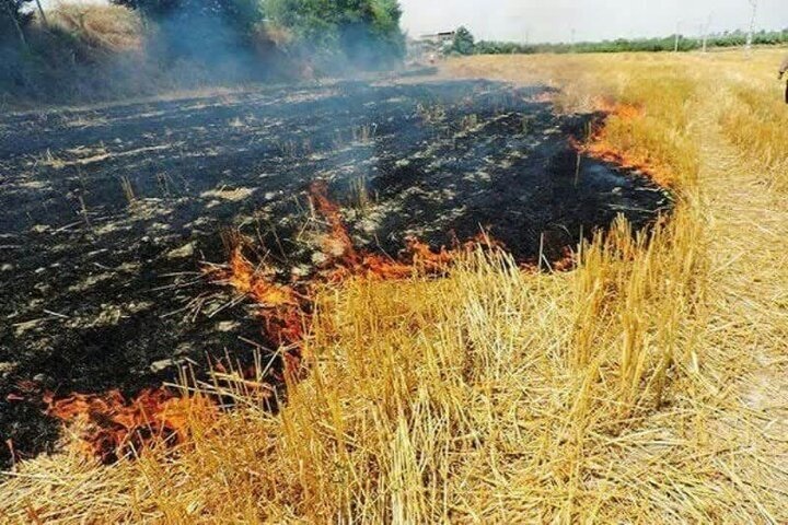 آتش‌سوزی در ۵۰ هکتار از مراتع و اراضی کشاورزی سوق