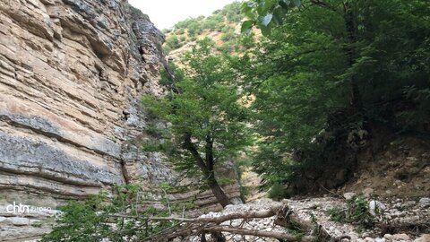 غار درچفت روستای فرنگ
