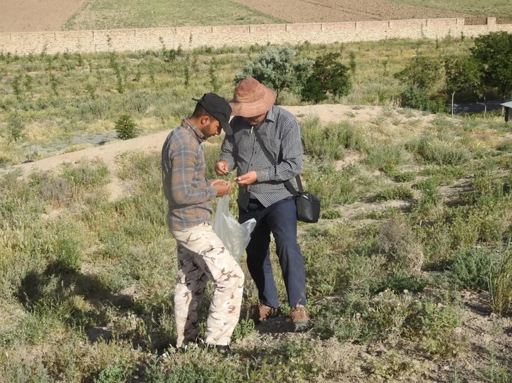 آغاز بررسی و شناسایی  آثار فرهنگی- تاریخی فراهان مرکزی