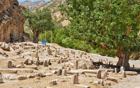 گورستان کهن الیگودرز؛ "شیرسنگی" نماد دلاورمردی قوم بختیاری