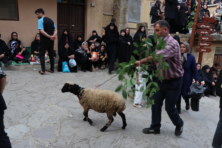 علم بندی ماسوله