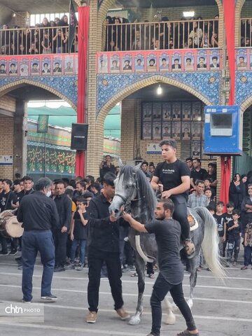 مراسم سنتی شدِّه برداری شهراحمدآباد اردکان