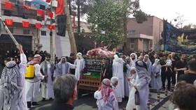 برگزاری مراسم بنی اسد در شهرستان اردکان