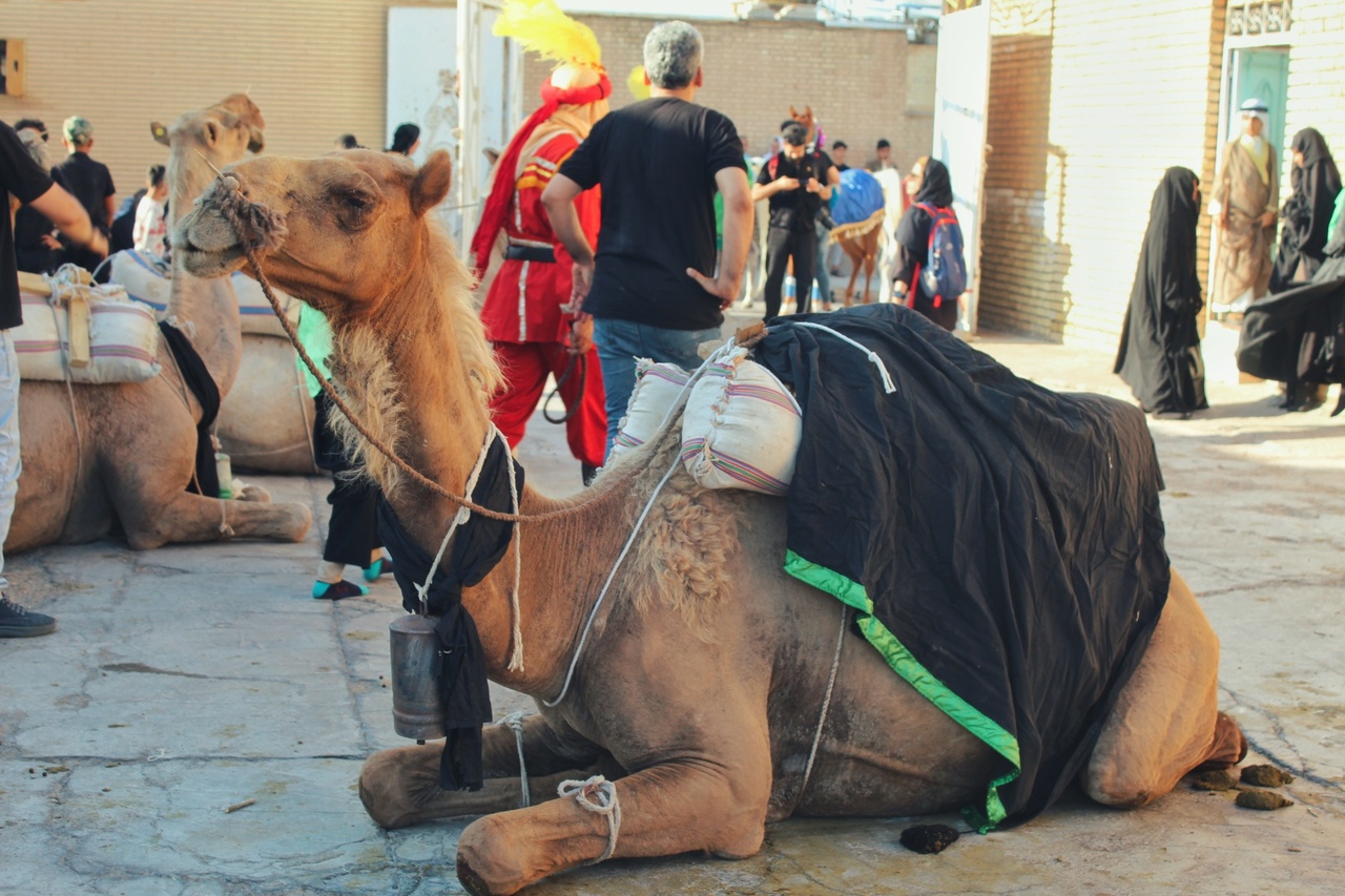 آیین گرهخورده با هویت و میراث فرهنگی یک روستا/ میراثی که از نسلی به نسل دیگر به ارث رسید