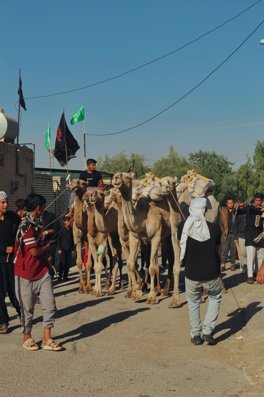 آیین گرهخورده با هویت و میراث فرهنگی یک روستا/ میراثی که از نسلی به نسل دیگر به ارث رسید