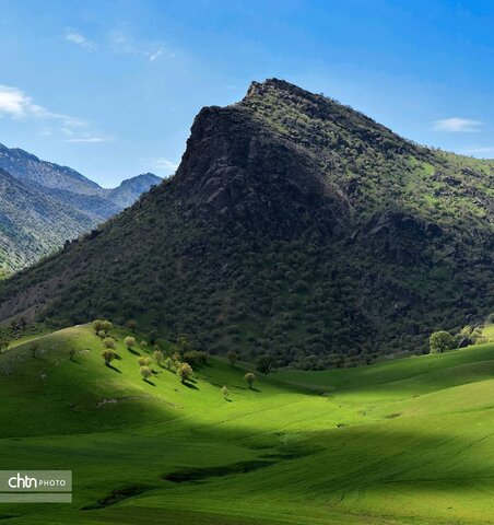 مخمل کوه ، یکی از شگرف‌ترین شگفتی‌های حیات لرستان