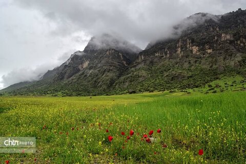 مخمل کوه ، یکی از شگرف‌ترین شگفتی‌های حیات لرستان