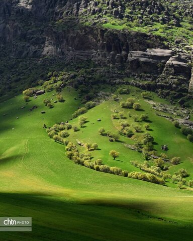 مخمل کوه ، یکی از شگرف‌ترین شگفتی‌های حیات لرستان