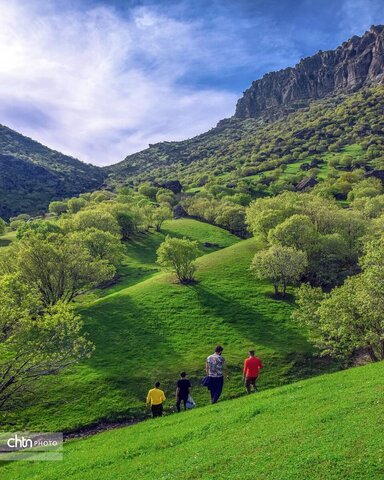 مخمل کوه ، یکی از شگرف‌ترین شگفتی‌های حیات لرستان