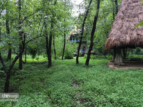 موزه میراث روستایی گیلان