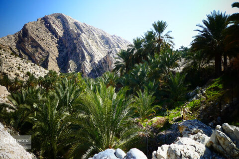 روستای زیبای گردشگری کوچهر در استان بوشهر