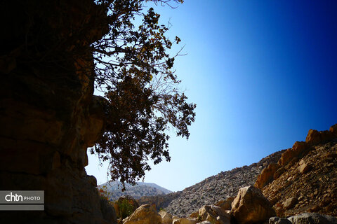 روستای زیبای گردشگری کوچهر در استان بوشهر