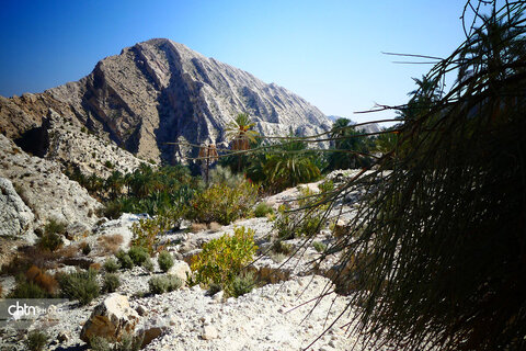 روستای زیبای گردشگری کوچهر در استان بوشهر