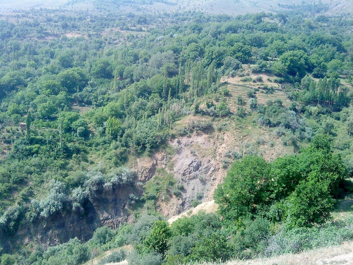 برداشت آلبالو از باغ‌های روستای سپوهین در الموت غربی استان قزوین