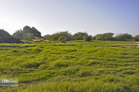 زیبایی‌هایی روستای گردشگری هاله