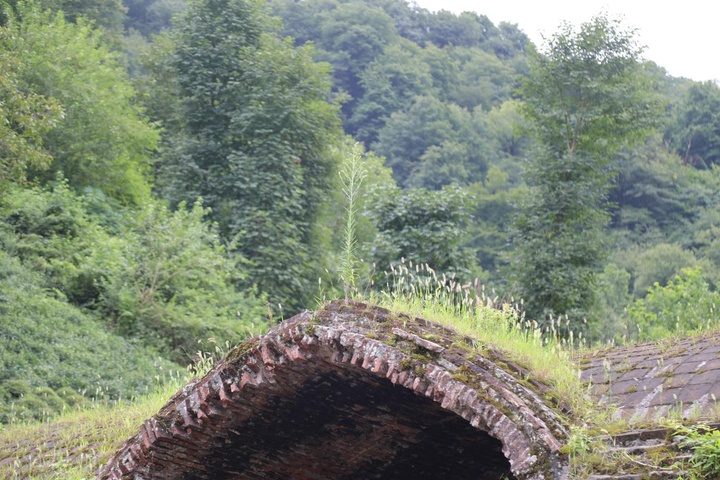 مرمت کاروانسرای تی تی