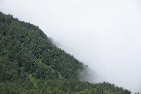 اوپرت؛ تلاقی شگفت‌انگیز کویر و جنگل