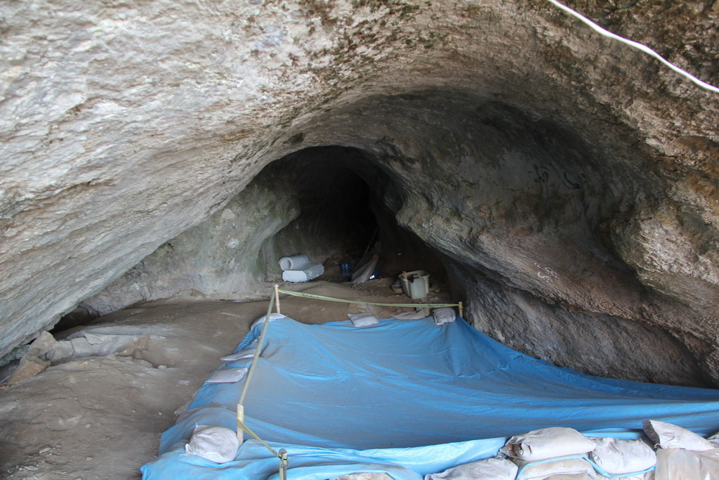 کشف دندان ۱۸۰هزارساله در فصل پنجم کاوشهای غار قلعهکرد