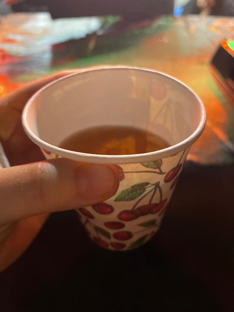 تربت امام حسین (ع)، هدیه رهبری به زوار/ فضایی که در آن کودکان اهمیت ویژهای دارند