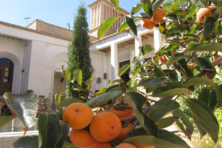 خانه یغمائی ها در شاهرود