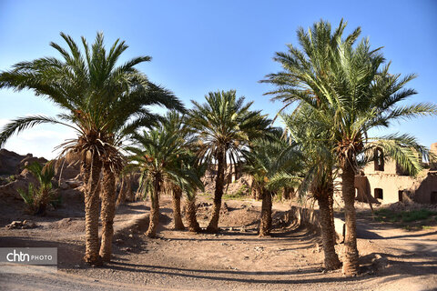 روستای هدف گردشگری طرود