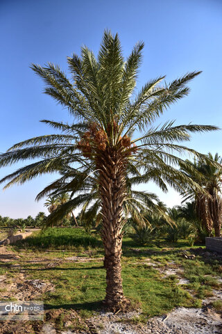 روستای هدف گردشگری طرود