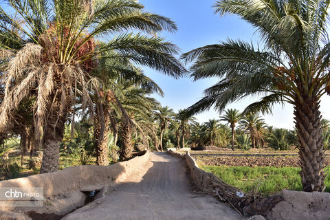 روستای هدف گردشگری طرود