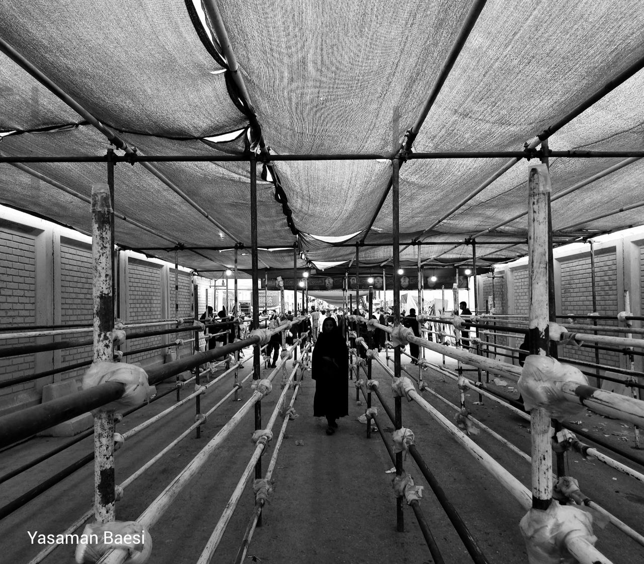 مستندسازی پیادهروی اربعین در مجموعه عکاسان آفتاب