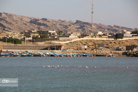 روستای هدف گردشگری لاور ساحلی در استان بوشهر