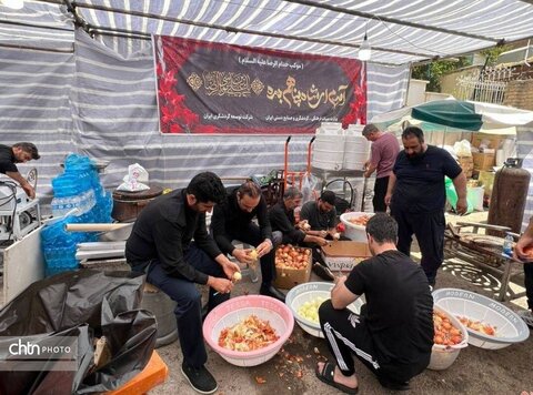 میزبانی از ۲۷ هزار زائر رضوی در موکب شرکت توسعه گردشگری ایران