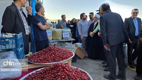 جشنواره انگور در روستای گردشگری درسجین ابهر گشایش یافت