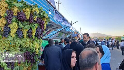 جشنواره انگور در روستای گردشگری درسجین ابهر گشایش یافت