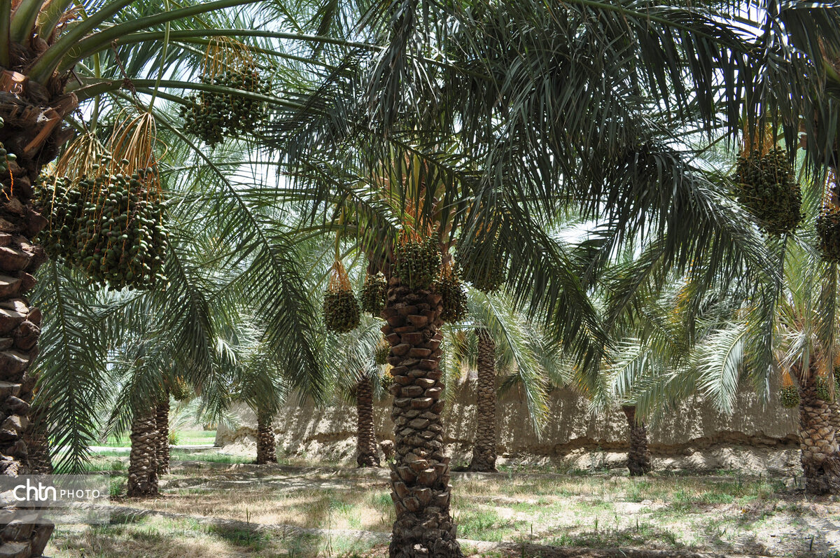 «سیرکان» سیستان و بلوچستان در انتظار گردشگران طبیعت