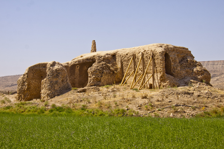 کوشک اردشیر، بنای باستانی در شهرستان دشتستان