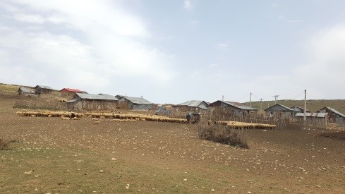 سیدسرای املش، روستایی فصلی با معماری سنتی