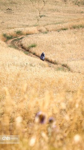 کوه سیر ارومیه جاذبه‌ای تاریخی و تفریحی برای کوهنوردان