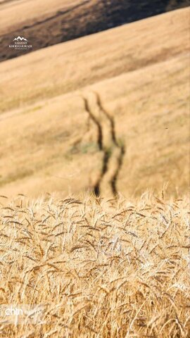 کوه سیر ارومیه جاذبه‌ای تاریخی و تفریحی برای کوهنوردان