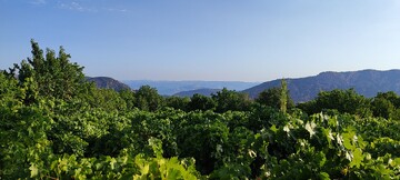 سی سخت؛ نگین گردشگری جنوب ایران