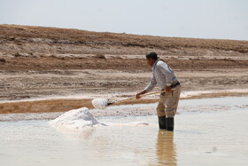 برداشت سنتی نمک از کال شور جاجرم