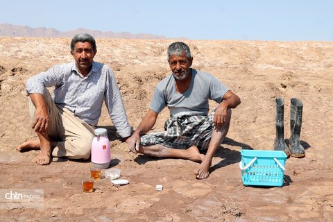 برداشت سنتی نمک از کال شور جاجرم