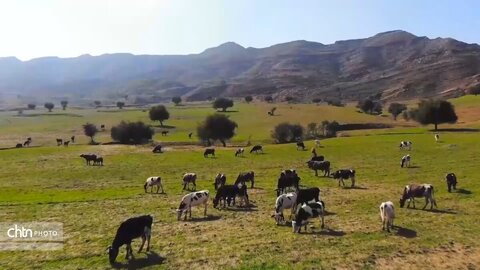 شهر گردشگری عنبر - مسجدسلیمان