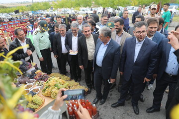 بازدید مجمع نمایندگان استان اردبیل از جشنواره ملی انگور در مشگین‌شهر