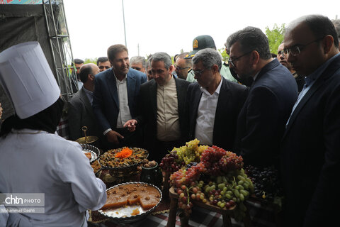 نخستین جشنواره ملی انگور در شهرستان مشگین‌شهر برگزار شد