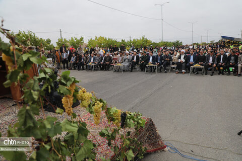 نخستین جشنواره ملی انگور در شهرستان مشگین‌شهر برگزار شد