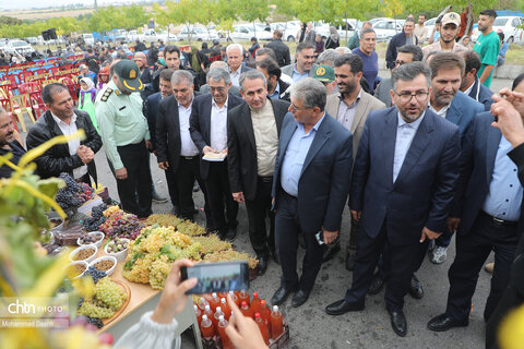 نخستین جشنواره ملی انگور در شهرستان مشگین‌شهر برگزار شد