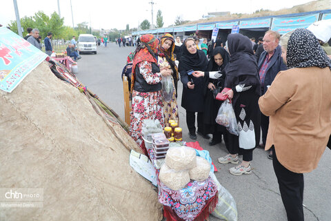 نخستین جشنواره ملی انگور در شهرستان مشگین‌شهر برگزار شد