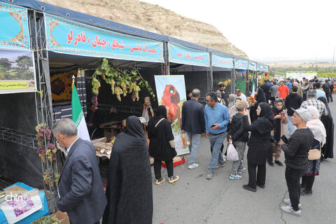 نخستین جشنواره ملی انگور در شهرستان مشگین‌شهر برگزار شد